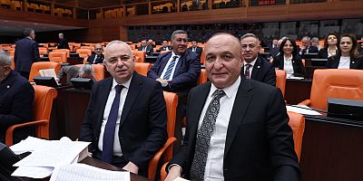 CHP’li Meriç’ten bütçe çıkışı: Talepler kabul edilmedi