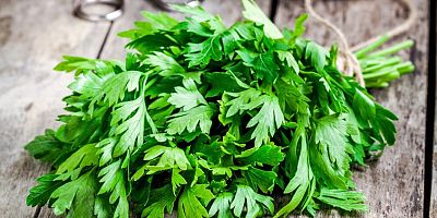 Maydanozu haftalarca taze tutan yöntem 