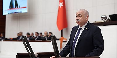 Sermet Atay Meclis Raporunu Açıkladı
